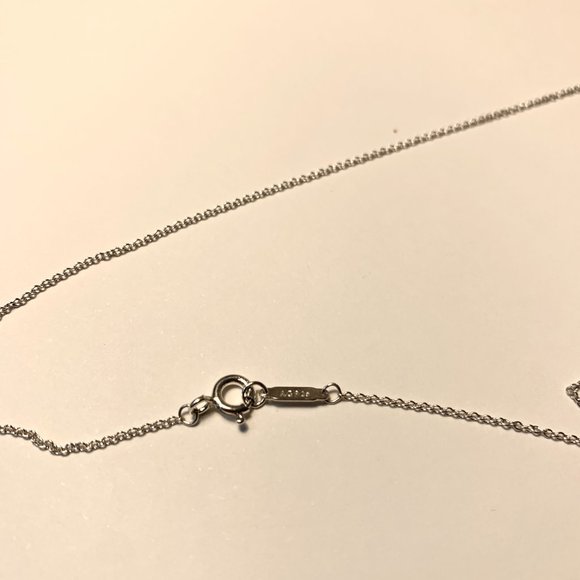 Tiffany 1837™ Circle Pendant in Silver, Medium - Picture 5 of 5